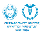 Logo CCINA